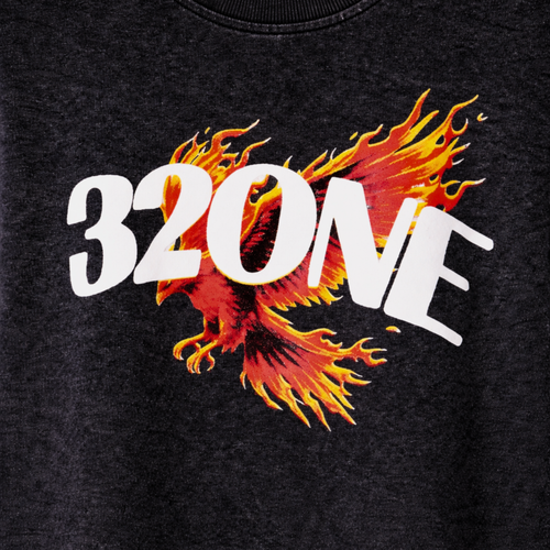 FIERY FALCON OVERSIZED TEE